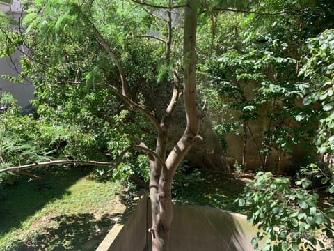 Cosy family flat Apartment in Clichy