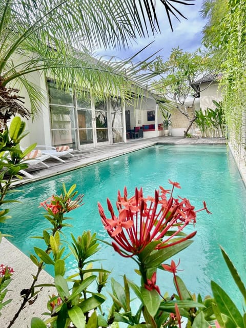 Garden, Swimming pool
