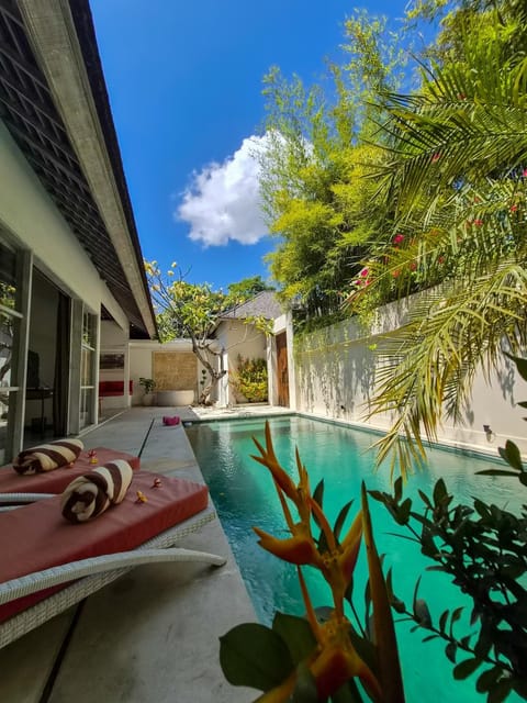 Patio, Day, Natural landscape, Garden, Garden view, Pool view, Swimming pool, sunbed