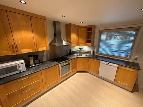 Kitchen or kitchenette, dishwasher, stove