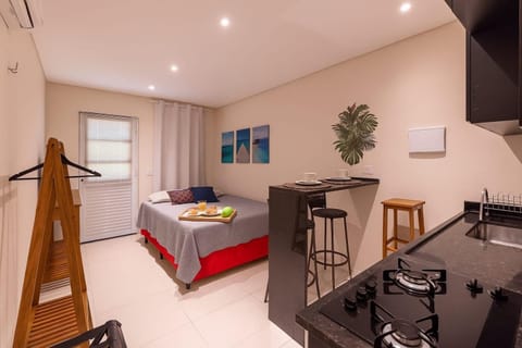 Bed, TV and multimedia, Kitchen or kitchenette, Living room, Photo of the whole room, Seating area, Dining area, Bedroom