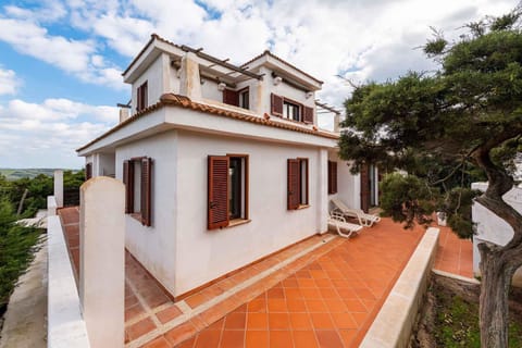 Property building, Summer, Garden