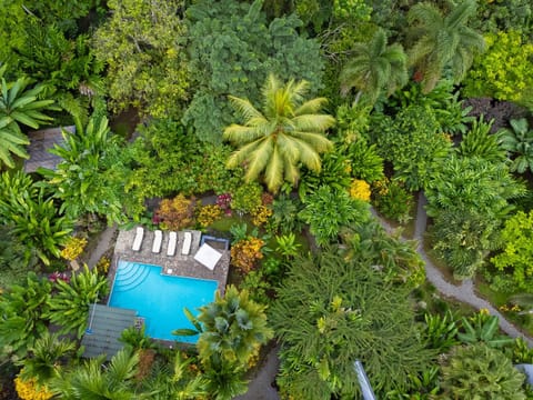 Natural landscape, Bird's eye view, Garden, Garden view, Pool view, Swimming pool