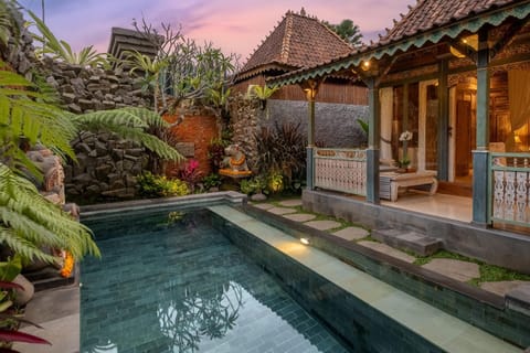 Property building, Patio, Natural landscape, Garden, Garden view, Pool view, Swimming pool