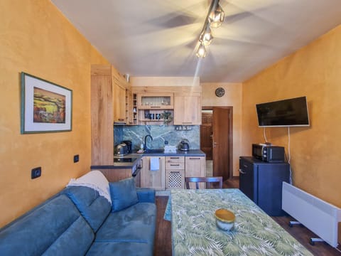 Communal lounge/ TV room, TV and multimedia, Kitchen or kitchenette, Living room, Seating area, Dining area, oven, pet friendly, stove