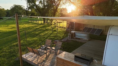 Patio, Day, Natural landscape, Garden, Sunrise, Sunset