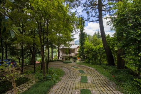 Spring, Day, Natural landscape, Garden, Garden view