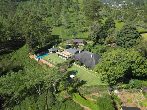 Bird's eye view, Garden