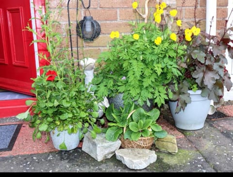 HotTub-Nature-FamilyFriendly-WiFi-Parking House in County Donegal