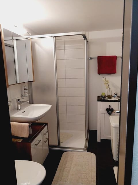 Sky Haus Residence inkl parking Apartment in Canton of Valais