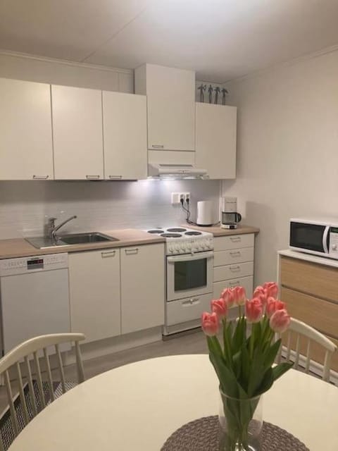 Paritalon huoneisto Apartment in Finland