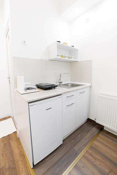 Vila Jevtić studio 3 Apartment in Serbia