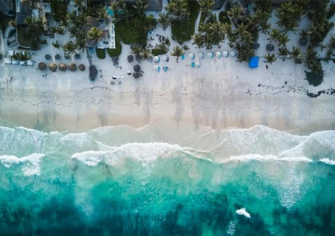 Day, Natural landscape, Bird's eye view, Beach, Sea view