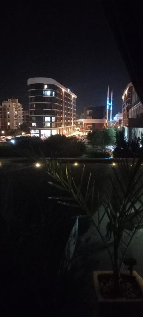 Night, City view