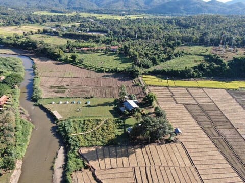 Nearby landmark, Spring, Day, Neighbourhood, Bird's eye view, River view