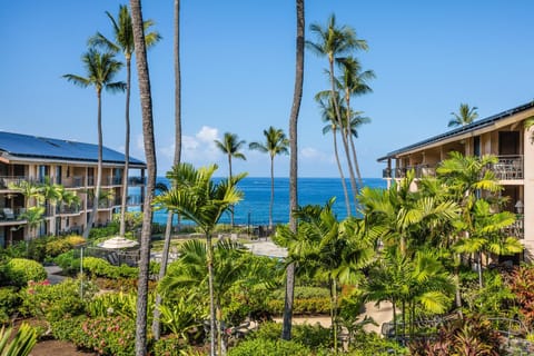 Garden view, Sea view