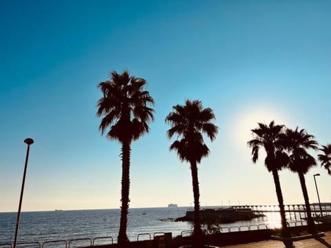 Sealovers house Thaon the Revel Apartment in Civitavecchia