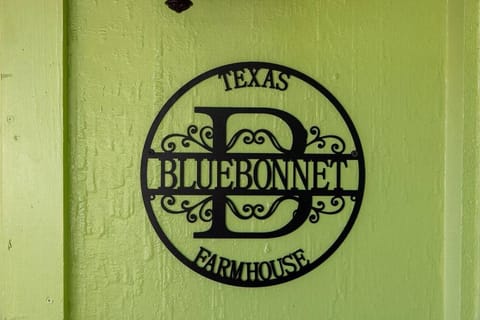 Texas Bluebonnet Farmhouse House in Keller