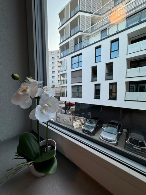 City Ferien Wohnungen 1 Bed and Breakfast in Rosenheim