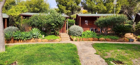 Spring, Day, Natural landscape, Garden, Garden view