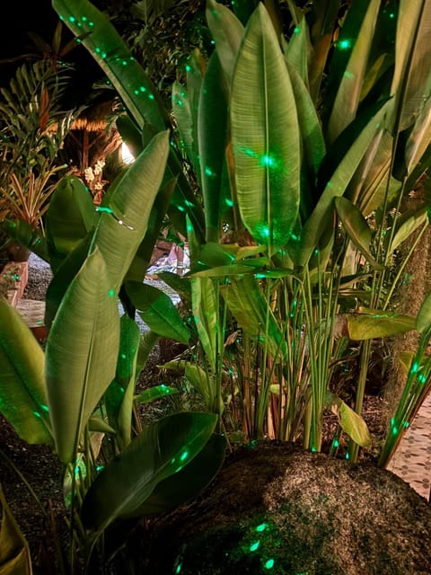 RELAX ECO Life Center-Khao Lak Bed and Breakfast in Khuekkhak