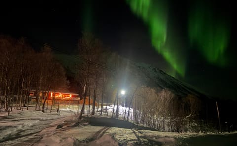 Property building, Natural landscape, Winter