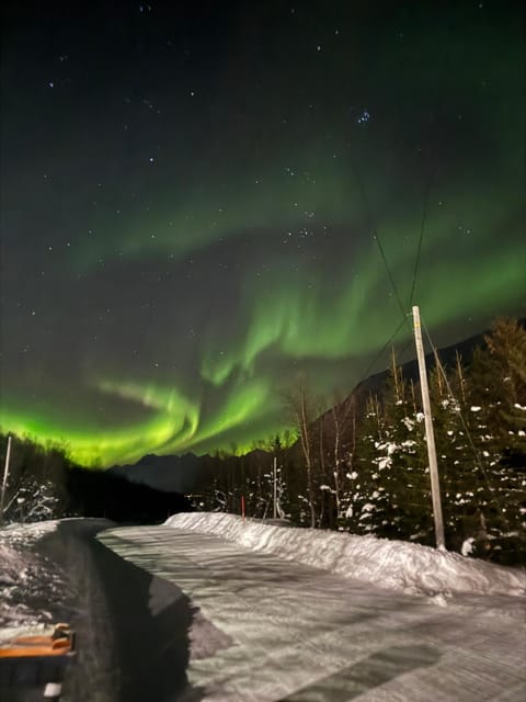 Night, Natural landscape, Winter, Garden