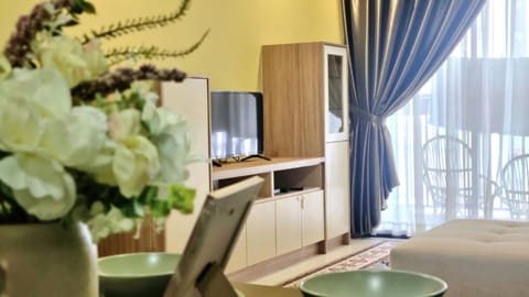 TV and multimedia