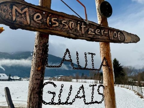 Meissnitzerhof Apartment in Carinthia, Austria