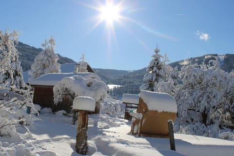 Meissnitzerhof Apartment in Carinthia, Austria