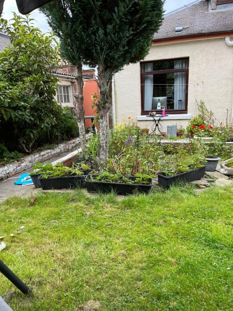 Relaxing, cozy 1 double room Vacation rental in Edinburgh