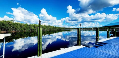 Natural landscape, Canoeing, Canoeing