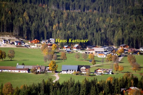 Day, Bird's eye view, Autumn