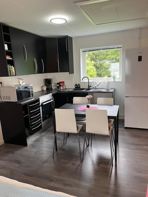 Kitchen or kitchenette, Dining area, oven, stove, toaster