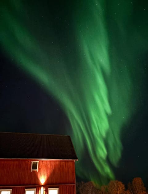 Apartement with free sauna and northern light Apartment in Nordland, Norway
