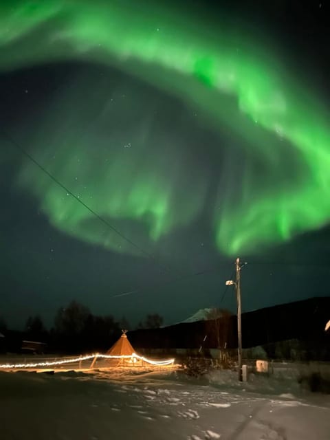 Apartement with free sauna and northern light Apartment in Nordland, Norway