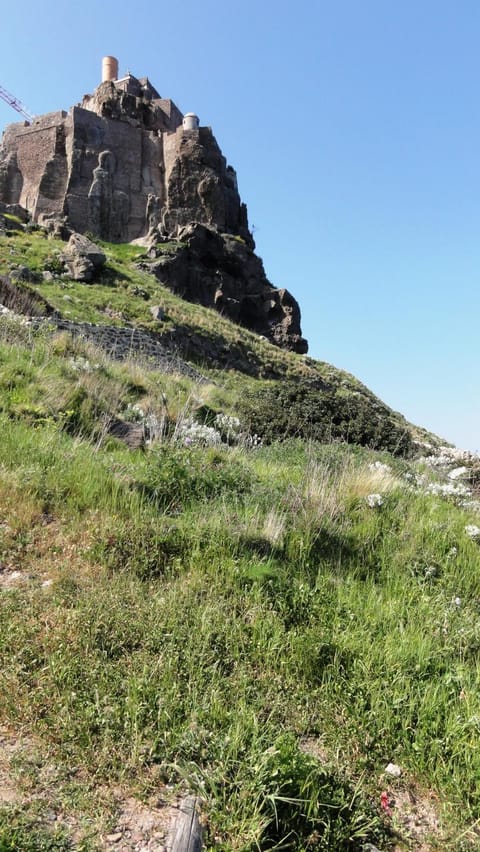 Other, Logo/Certificate/Sign, Text overlay