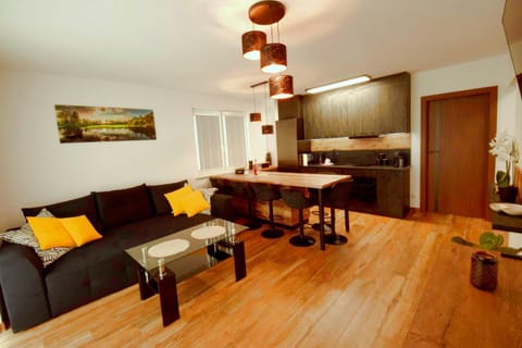 Apartament Nad Ujściem Apartment in Leba