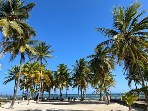 Natural landscape, Beach
