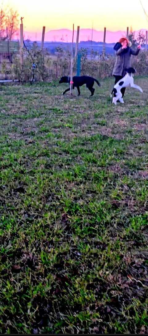 Agricampeggio AL CIELO STELLATO Campground/ 
RV Resort in Province of Brescia