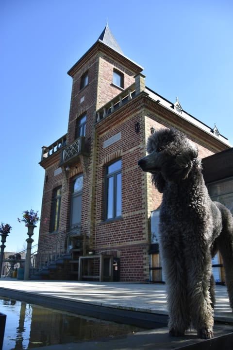 Terp Bed and Breakfast in Flanders
