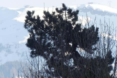 Chambre avec lit 2 personnes Vacation rental in Haute-Savoie