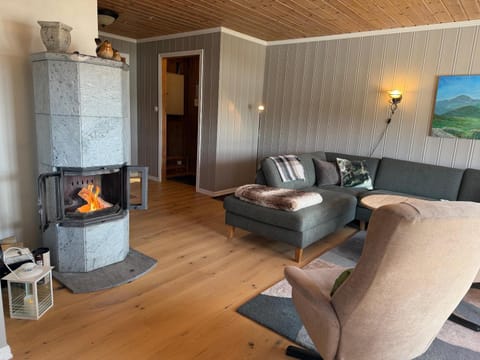 Living room, fireplace
