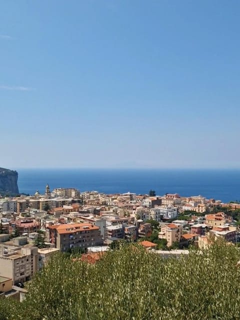 Nearby landmark, Day, Natural landscape, Bird's eye view, City view, Sea view