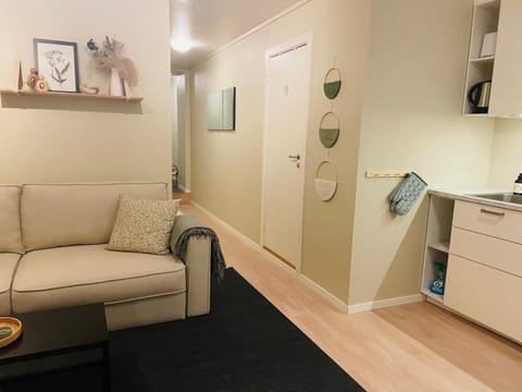 Living room, kitchen