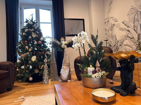 Les Libellules Appartement avec baignoire spa à Lanvallay Apartment in Brittany