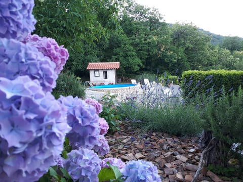 Spring, Off site, Day, Swimming pool
