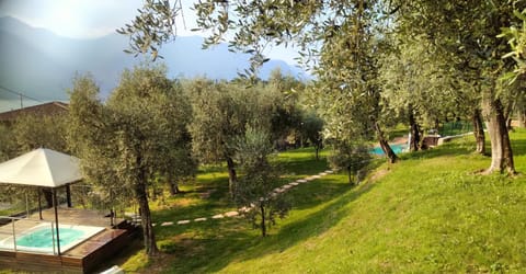 Garden, Swimming pool