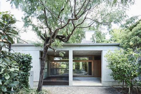 Property building, Garden view