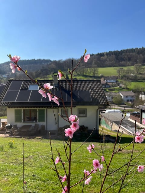 Spring, Natural landscape, Garden, Garden view